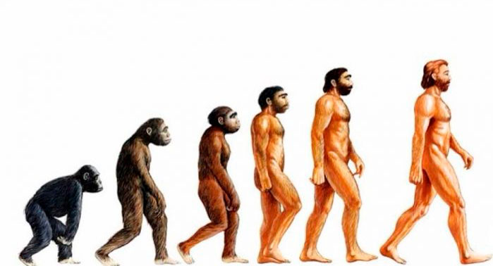 evolucionismo-unilineal